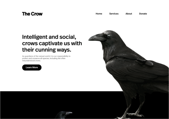 crow web design